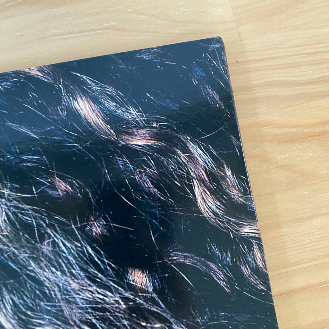 【タ】DOUBLE『VISION』2枚組LPレコード 美品