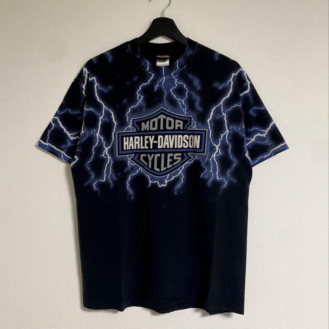 HARLEY DAVIDSON BLUE FLAME Tシャツ ロンT