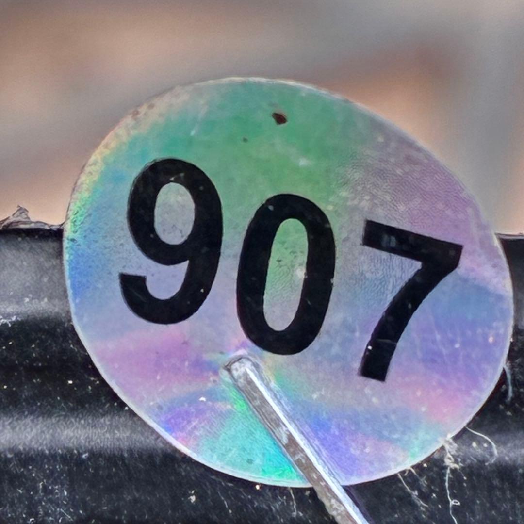 ヒ*イ様 ☘️超希少☘️唯一無二☘️根充実❤️しっかり新芽❤️907【Ash】D