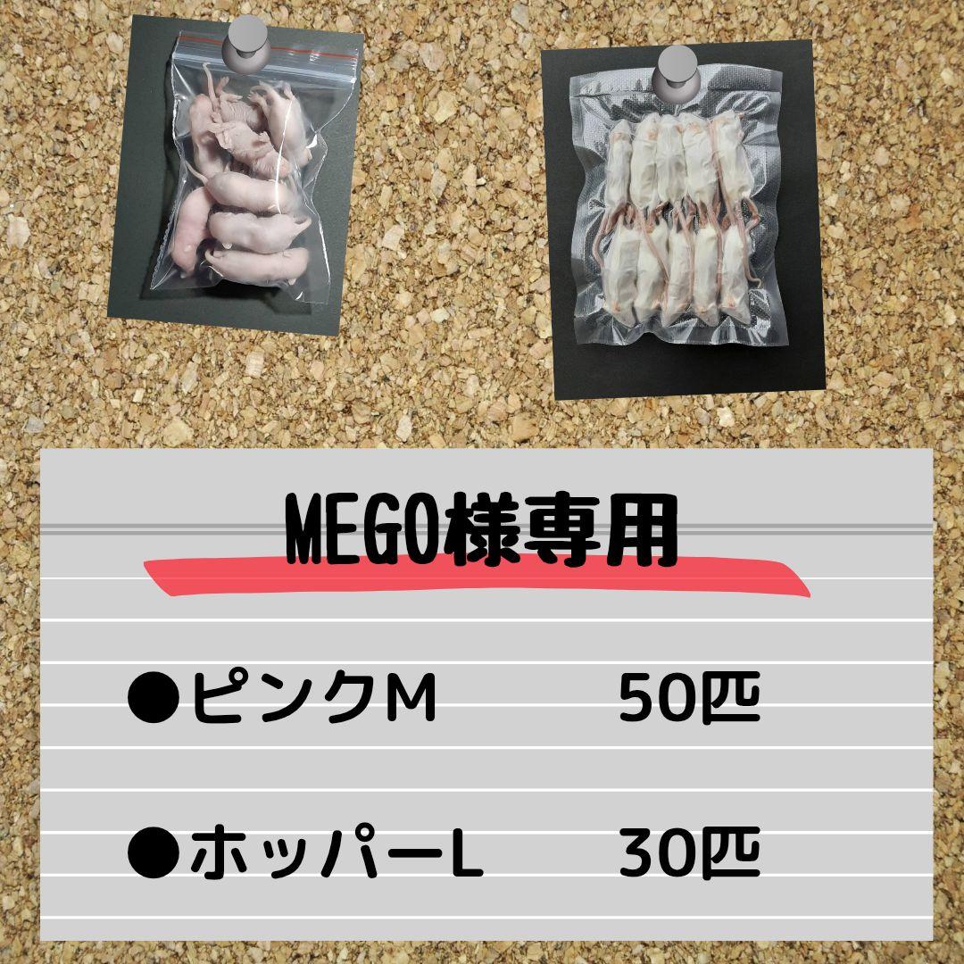 【MEGO】国産冷凍マウス ピンクＭ 50匹 、ホッパーL 30匹
