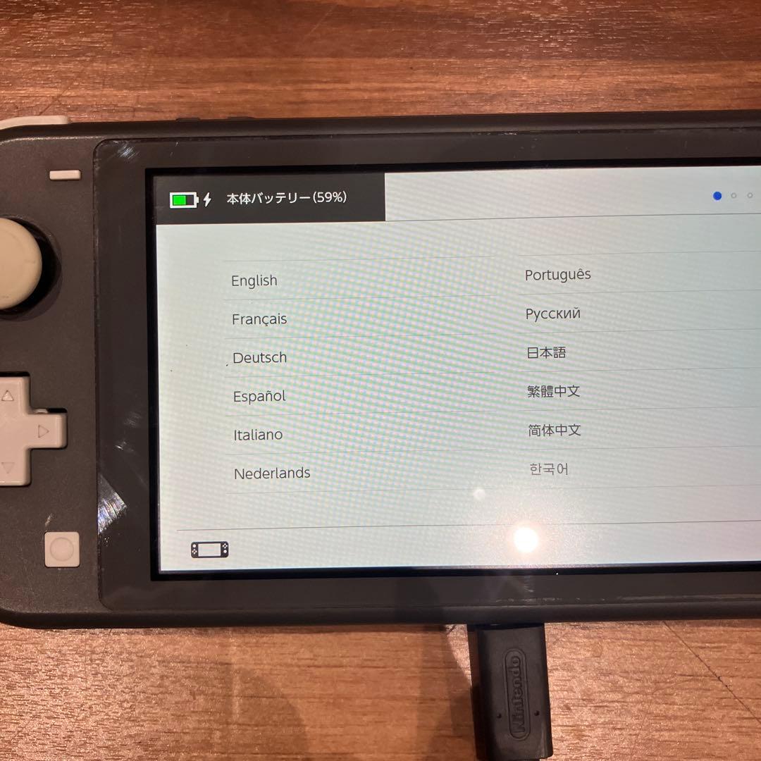 Nintendo Switch Lite グレー 本体と充電器のみ