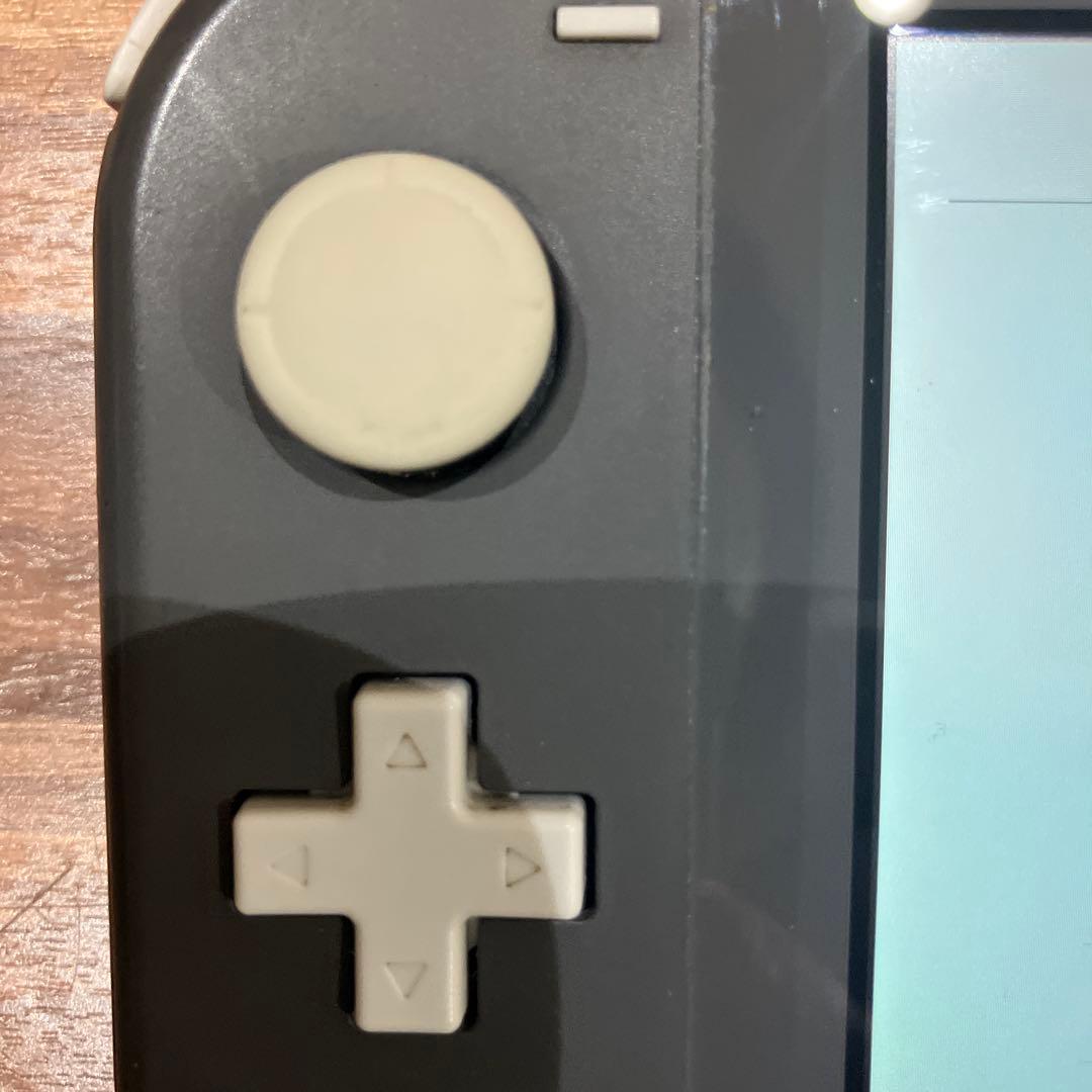 Nintendo Switch Lite グレー 本体と充電器のみ