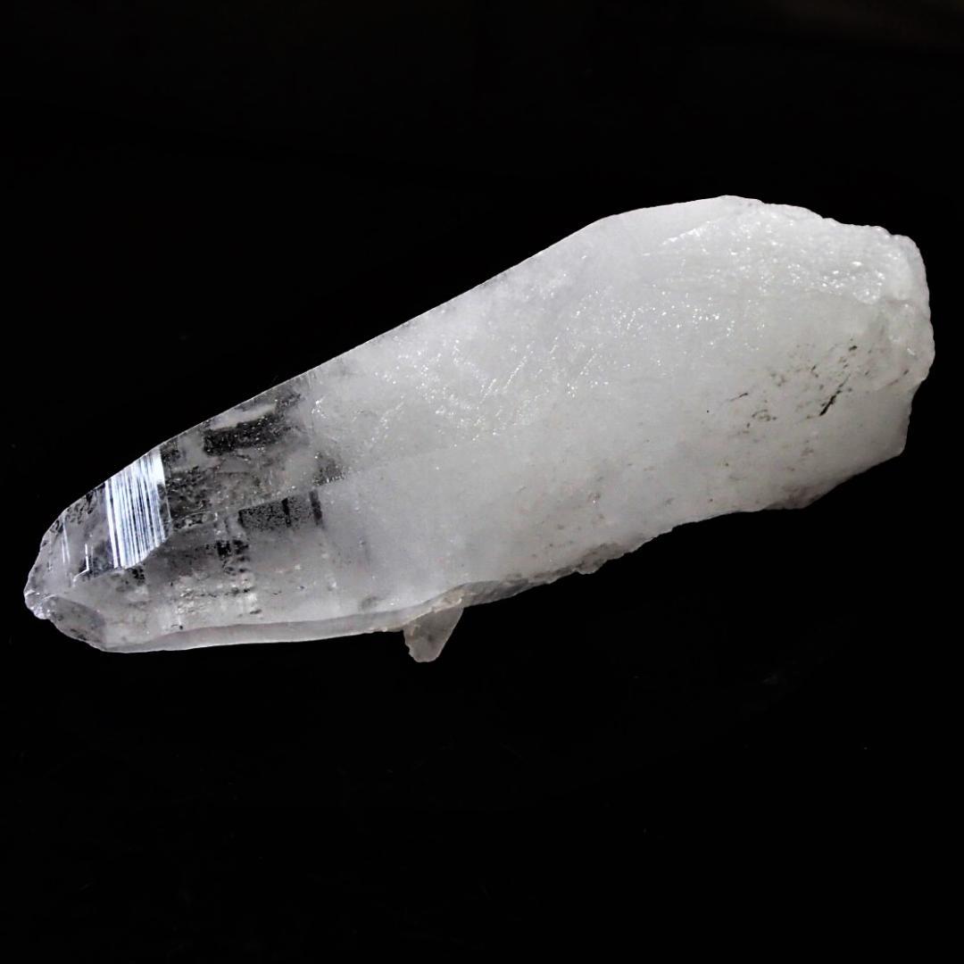 値下しました！ティップリン産ポイント-62-1