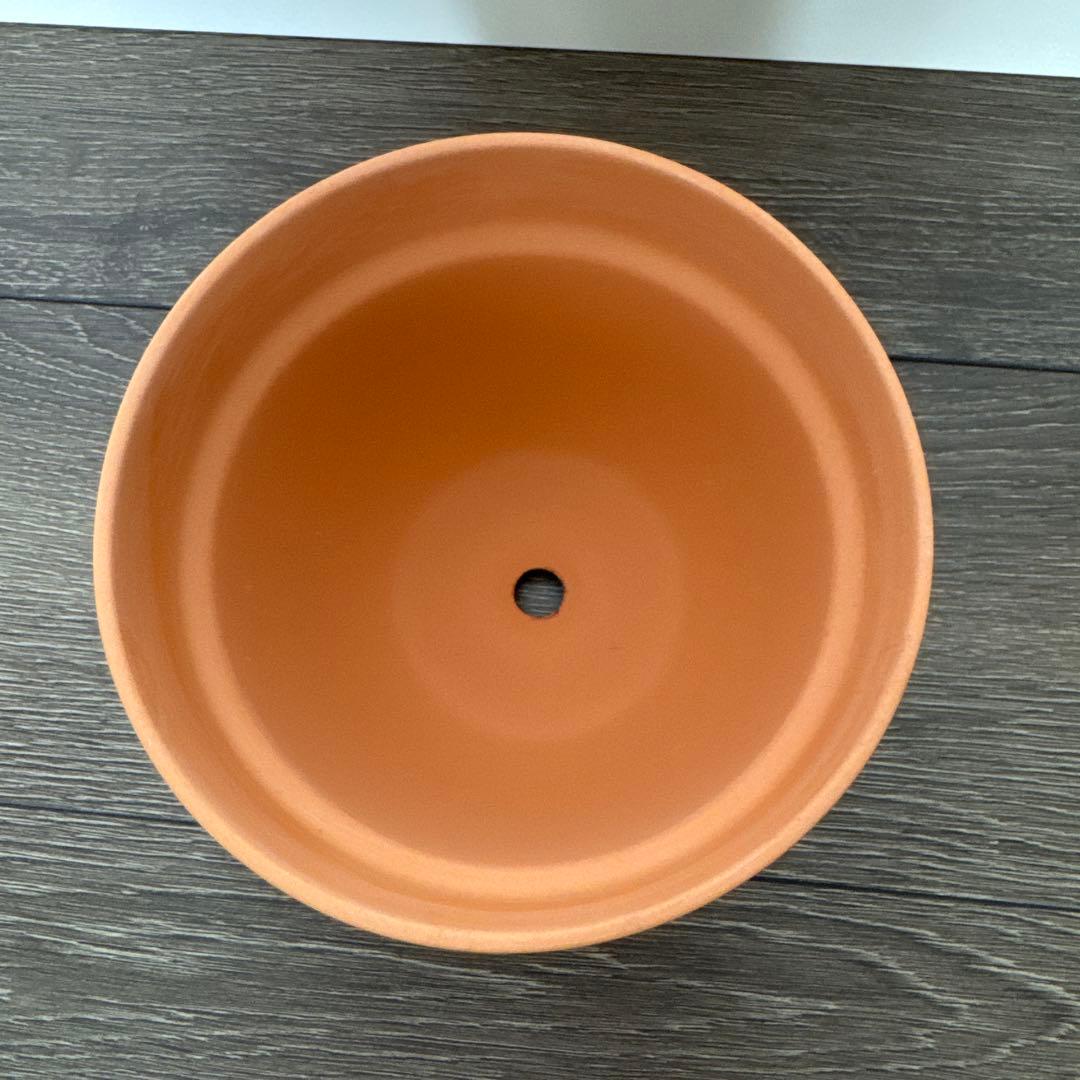 HERMES FLOWER POT 非売品　ノベルティ　植木鉢　エルメス
