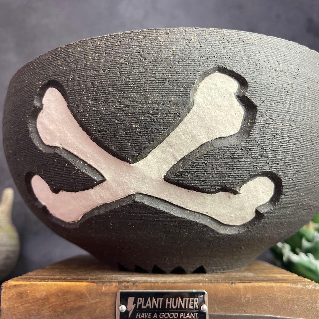 MAX サイズ　狩人 PLANT HUNTER オリジナル作品　植木鉢 陶器