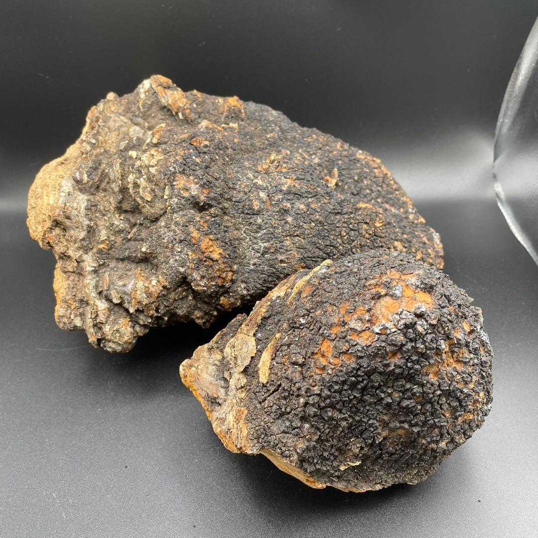 カバノアナタケ 原塊 2点セット 計約2.15kg（1.5kg＋0.65kg）