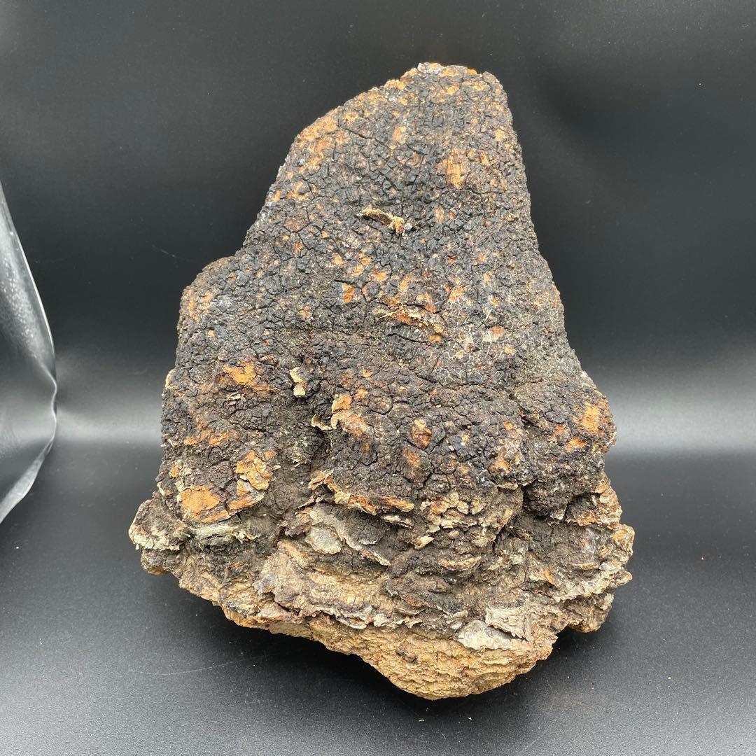 カバノアナタケ 原塊 2点セット 計約2.15kg（1.5kg＋0.65kg）