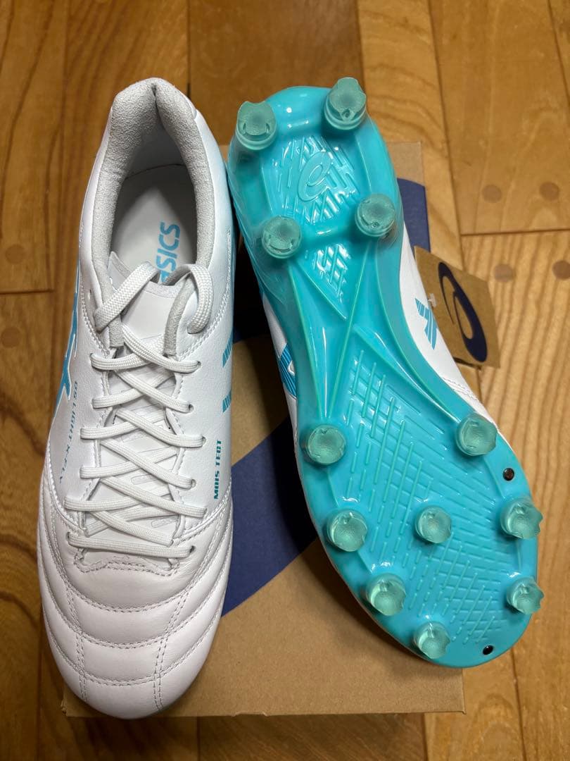 新品　限定カラー　大特価　アシックス　DSライト X-FLY5 25cm