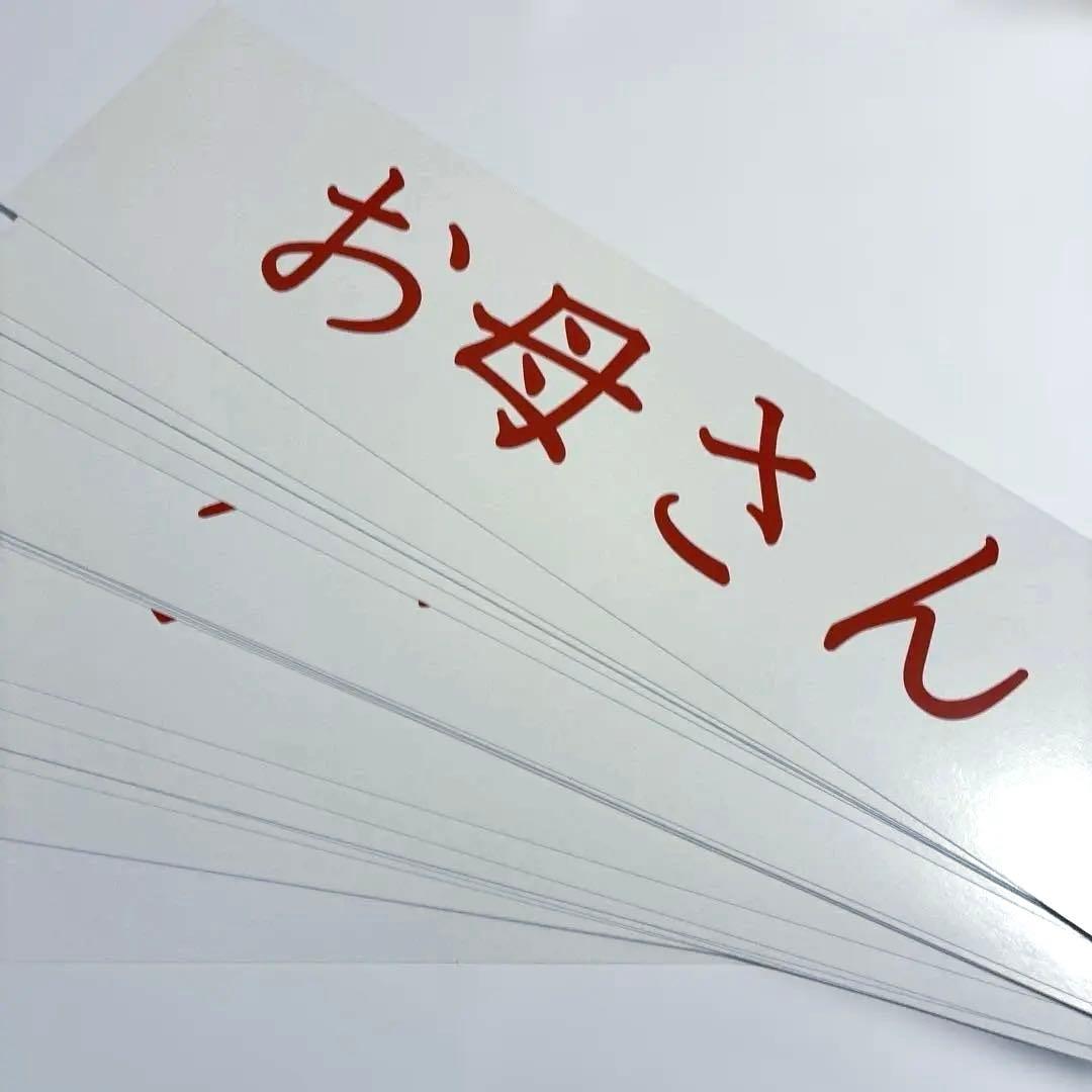 Your Smart Baby's First Program ドーマン研究所