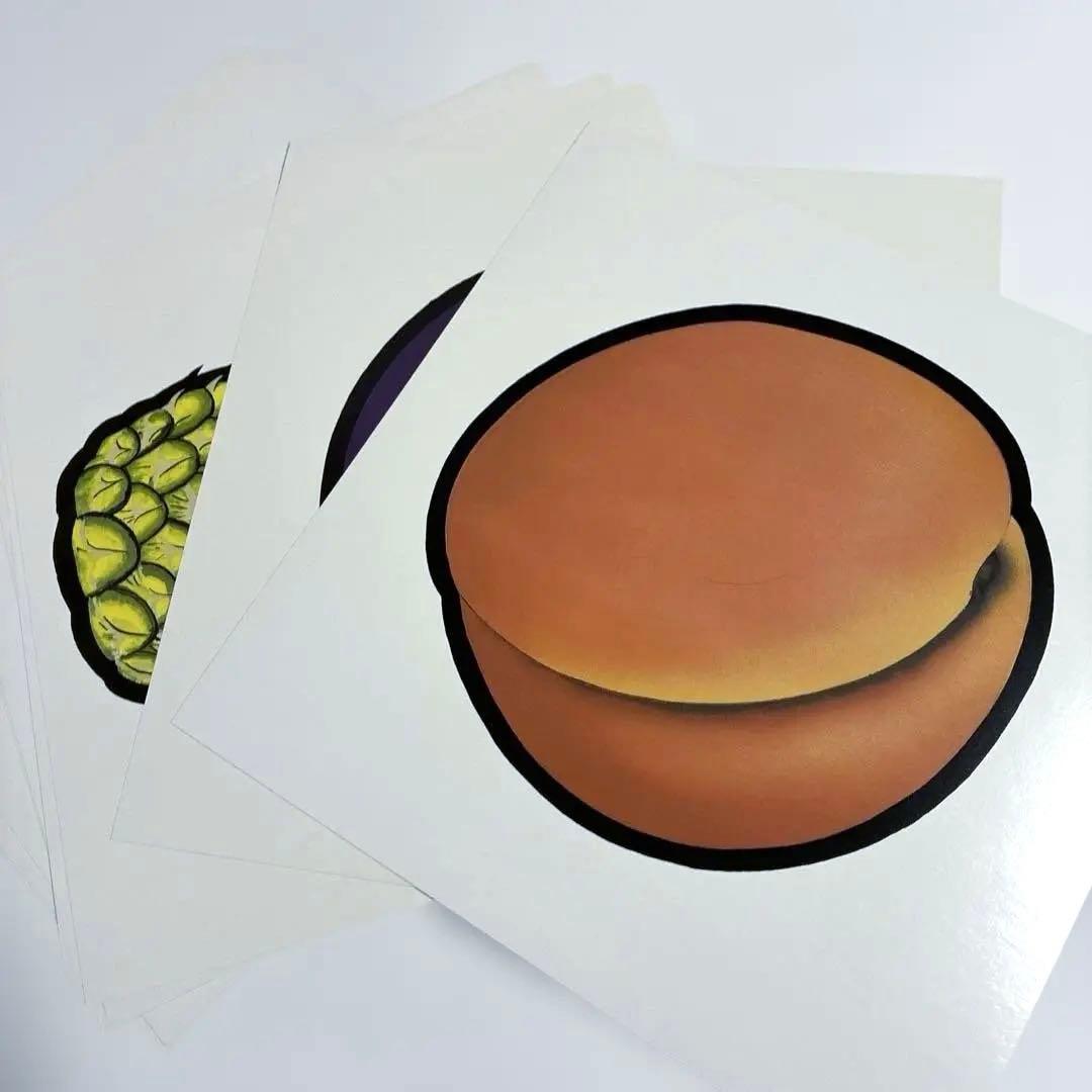 Your Smart Baby's First Program ドーマン研究所