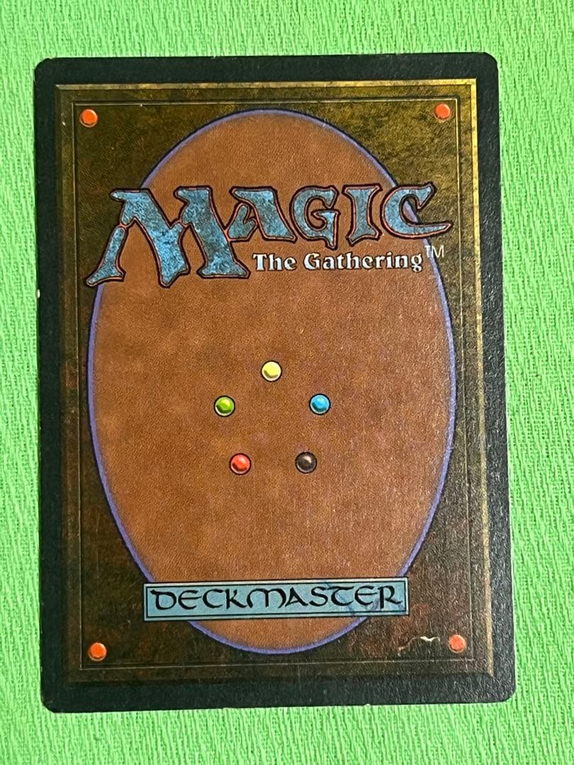 マジック：ザ・ギャザリング MTG Wheel of Fortune