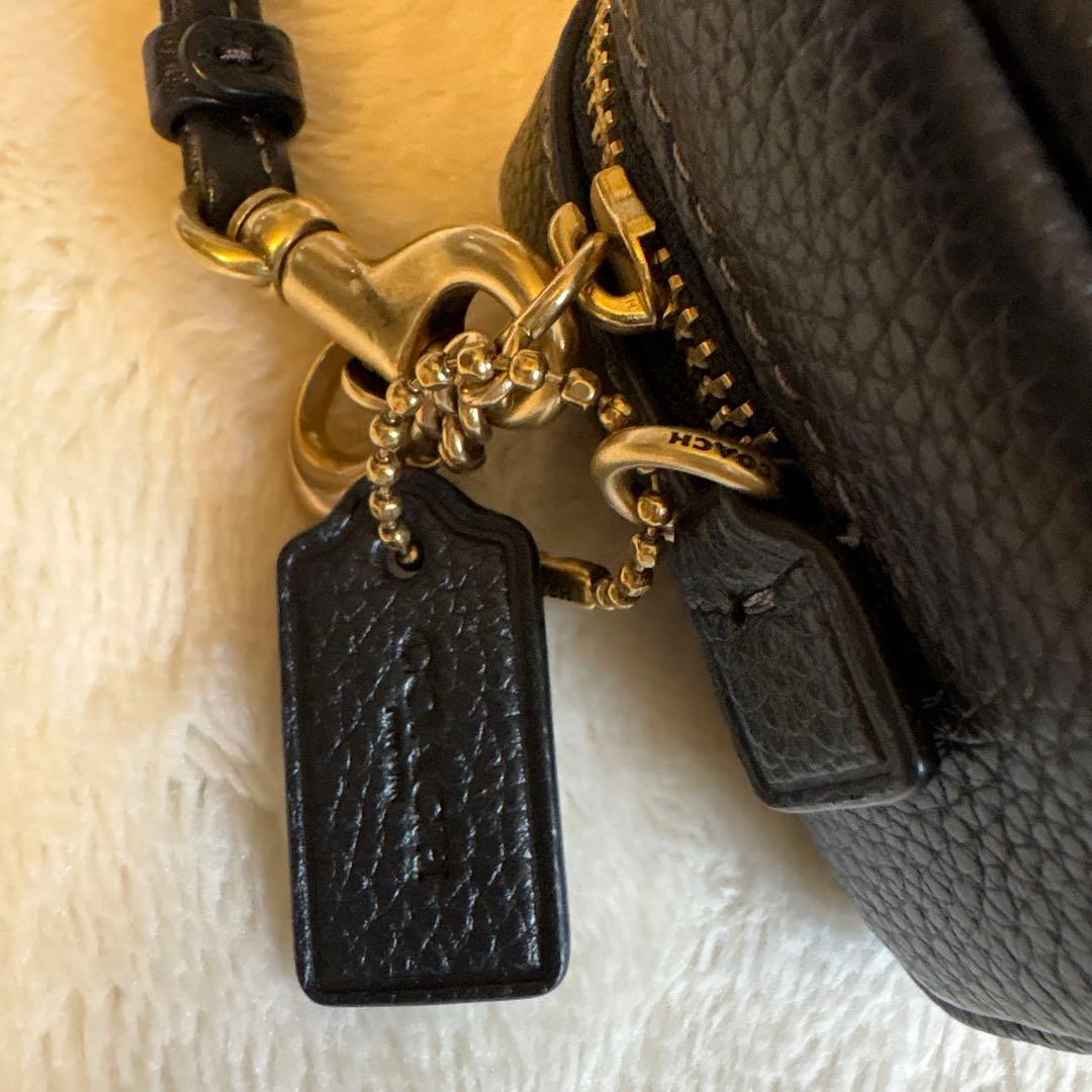 美品coach レキシー　デザイン 黒 ケース　コーチ恐竜