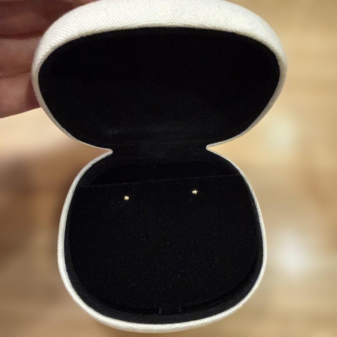 ノグチ　小さめピアス