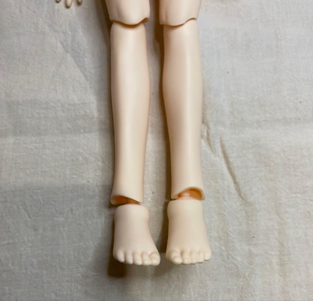 本体のみ