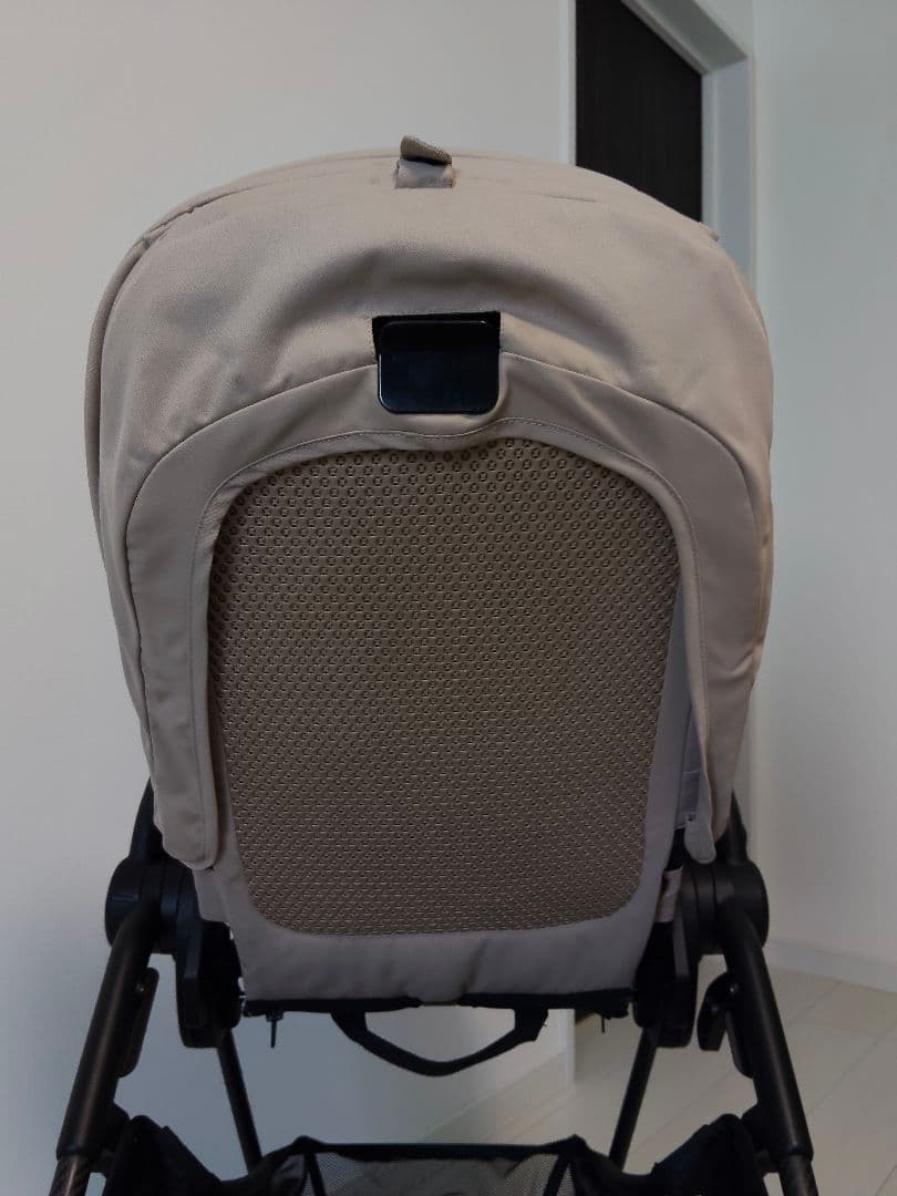 サイベックス　メリオカーボン　2024年10月購入　アーモンドベージュ