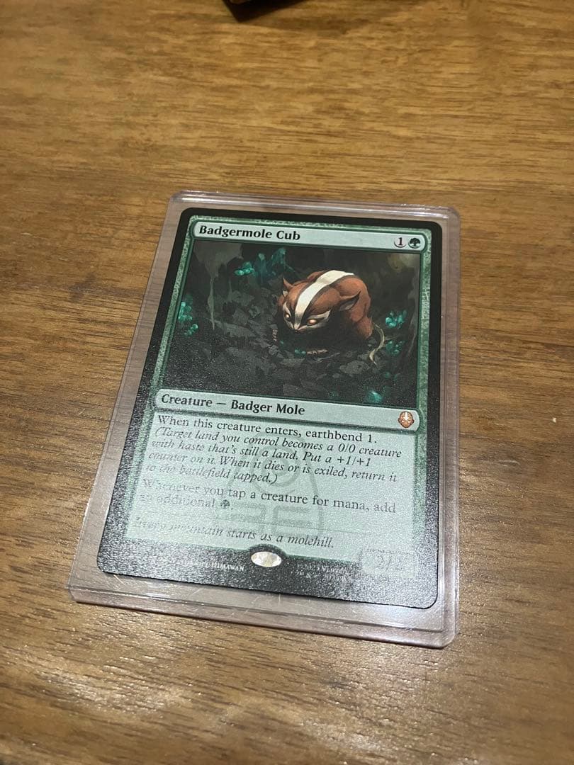 アナグマモグラの仔/Badgermole Cub 英語　1枚