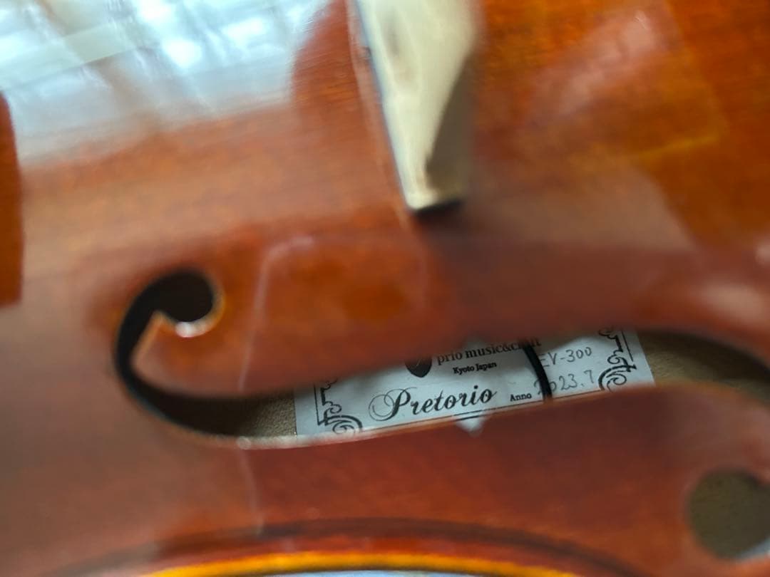 レイニ　Pretorio EV-300