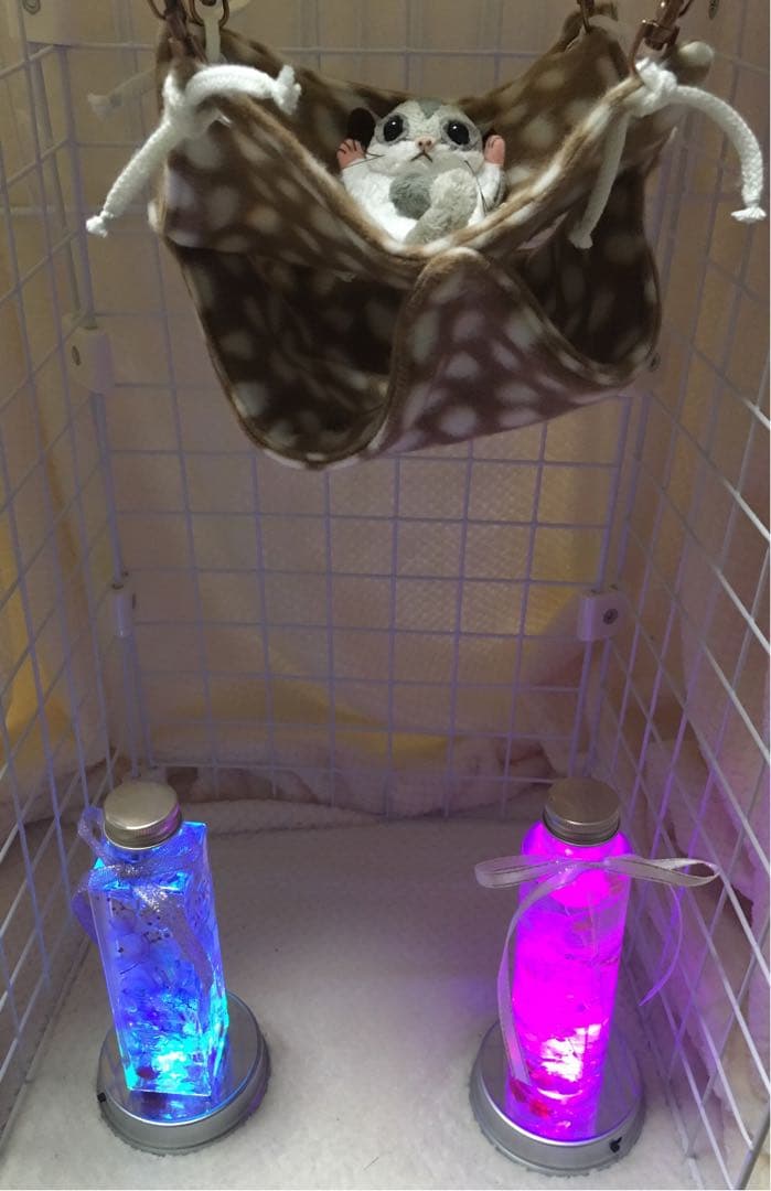 モモンガハウス(バンビ柄)  秋・春仕様    特価❗️