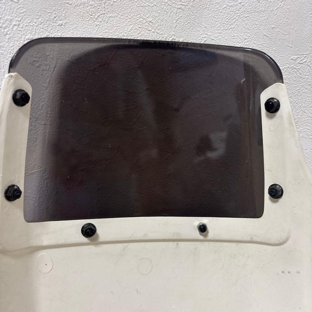 TDR50純正　フロントカウル スクリーン付き