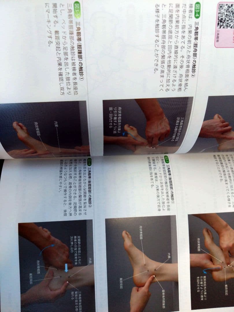 機能解剖学的触診技術 最新上下肢セット　理学療法士　作業療法　リハビリ　まとめ売