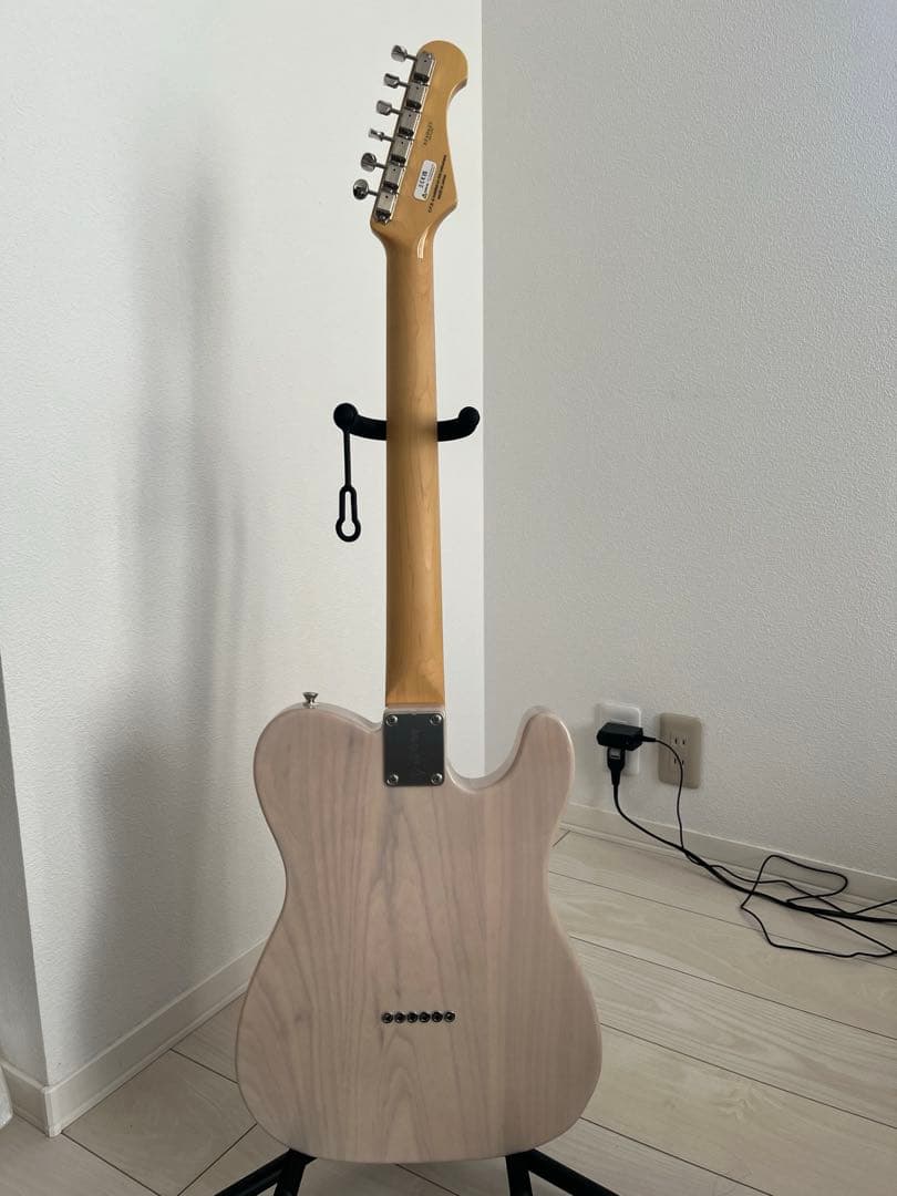 Fujigen NTE100MAHTL WB テレキャスターシンライン レフティ