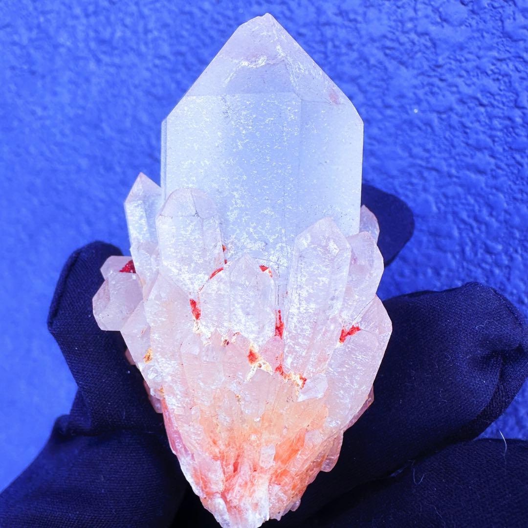 爆アレ❗️可愛いピンク♡超綺麗マダガスカル産パイナップルピンククラスターA1488