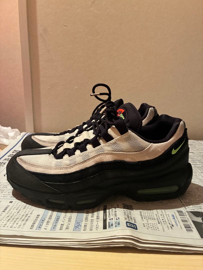 NIKE エアマックス95 Antifreeze 28cm