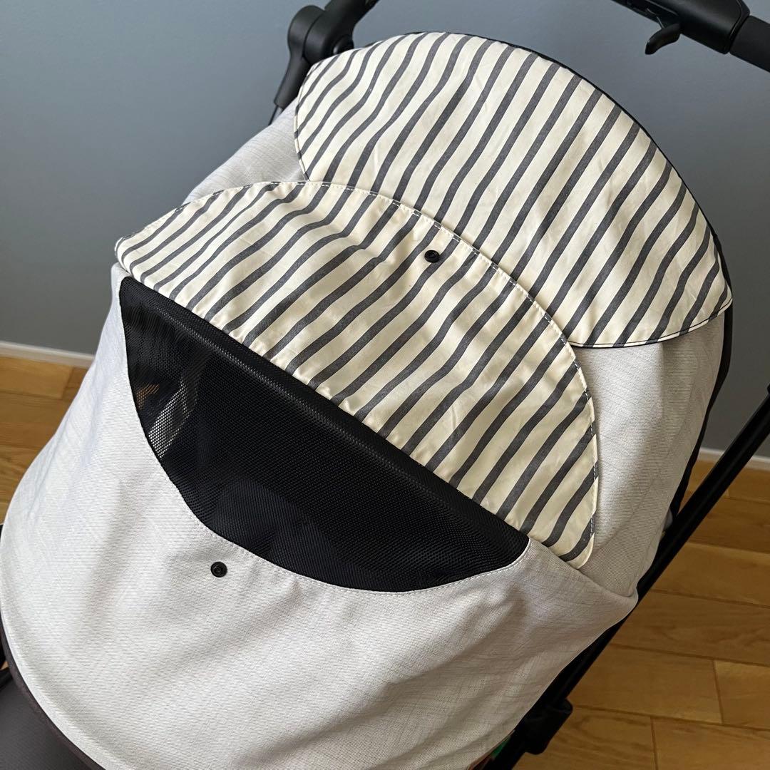 CWL エスカルswitch plus エッグショック XL エレガンテビアンゴ