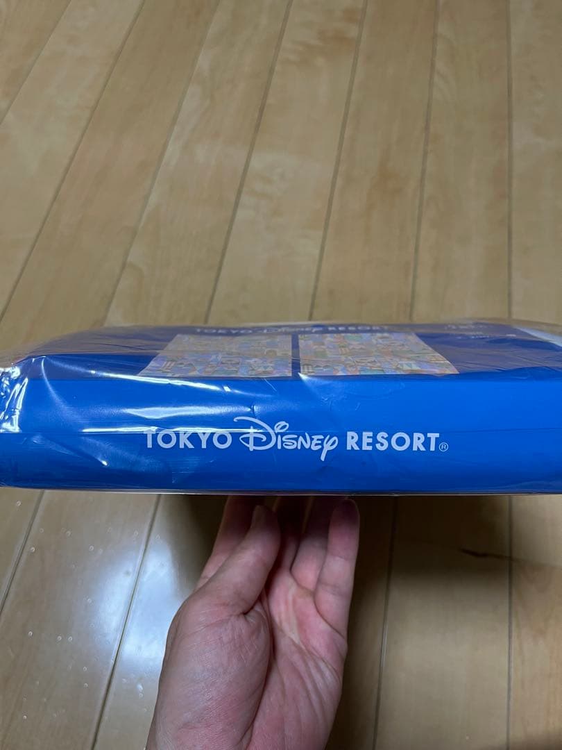 ディズニーランド　イッツ・ア・スモールワールド　カーテン　新品未使用