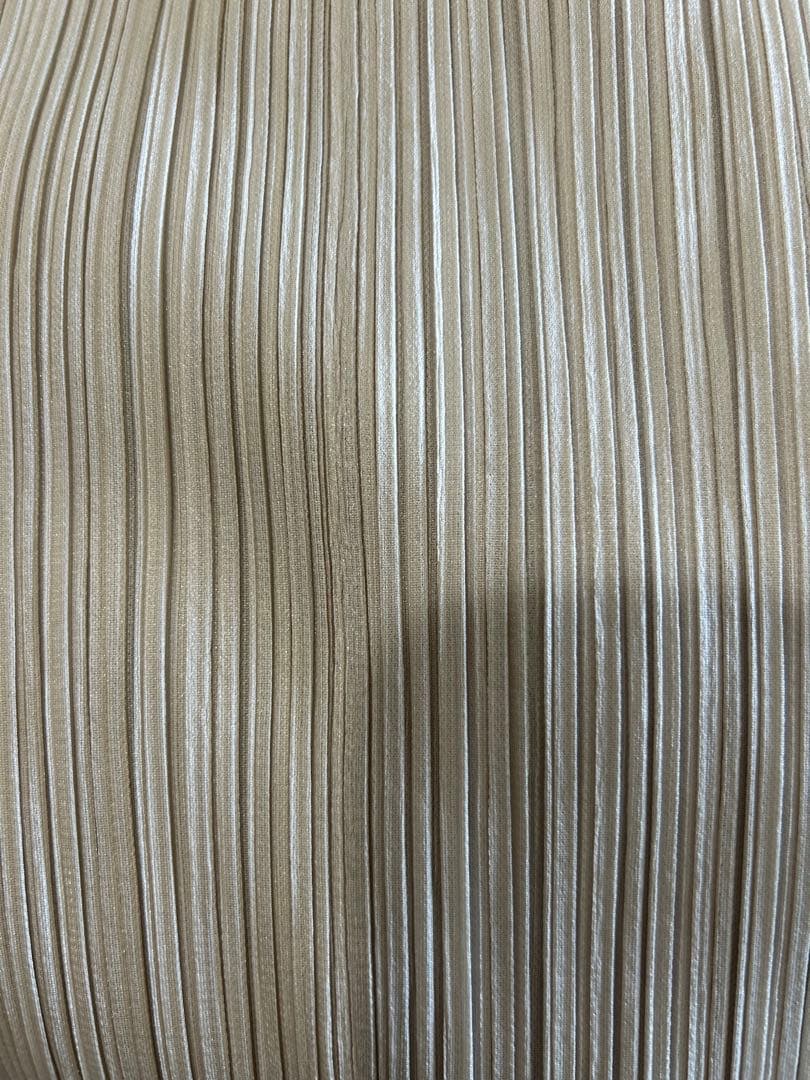 ⭐️本日限定価格⭐️プリーツプリーズリーフ&スパイストップス未着用⭐️