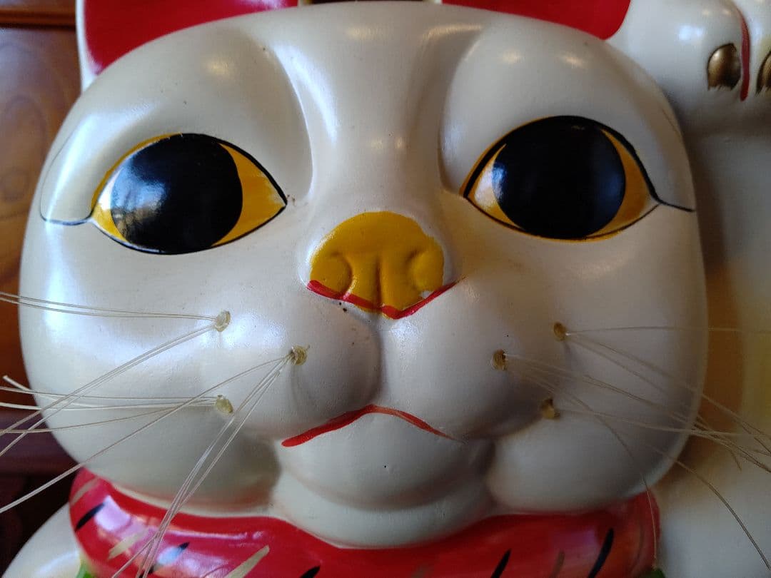 招き猫 最大20号 特注品 常滑焼 陶器 希少品 開運招福 千客万来