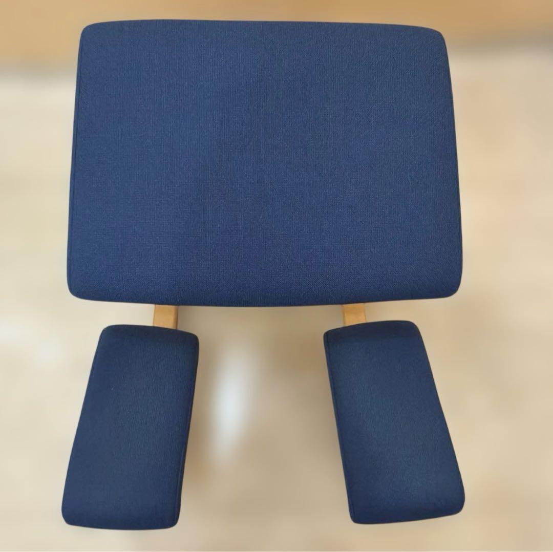 VARIER バランスチェア バリエール バリアブル