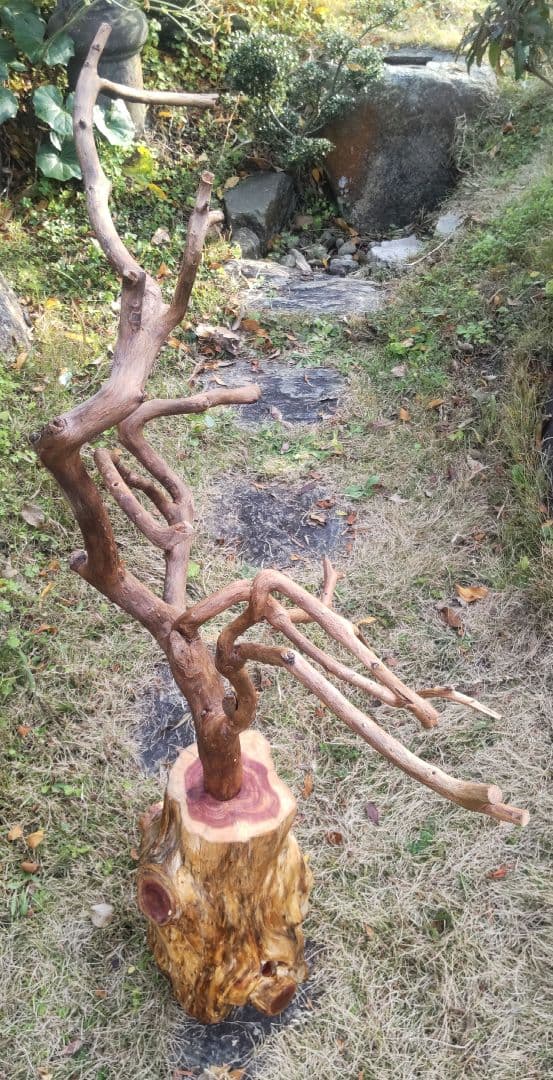 バードアスレチック　鳥用止まり木