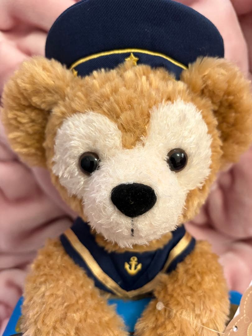 ダッフィー20周年　ぬいぐるみ　ディズニーシー