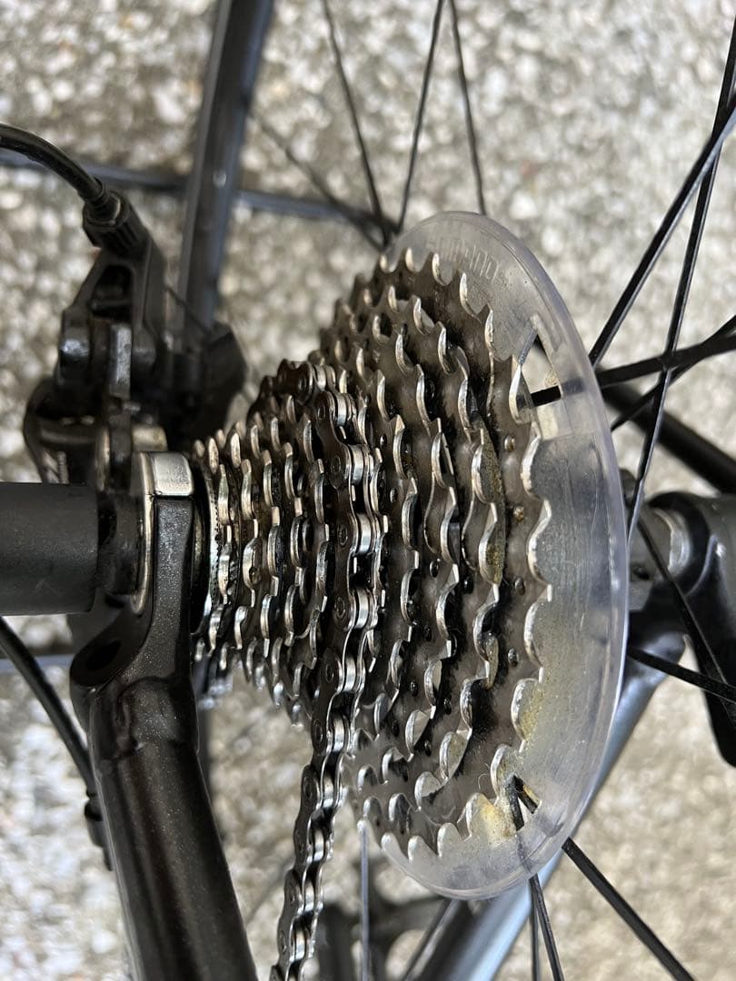 あおい　コーダブルームFARNA 105 2022 465mmお引渡し