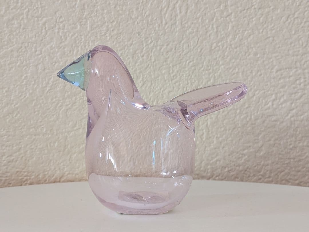 難あり　 イッタラ　シエッポ　表参道限定