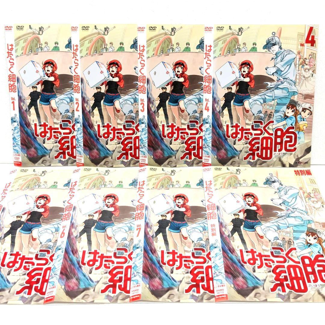 はたらく細胞 特別編 DVD 全巻 セット アニメ 清水茜