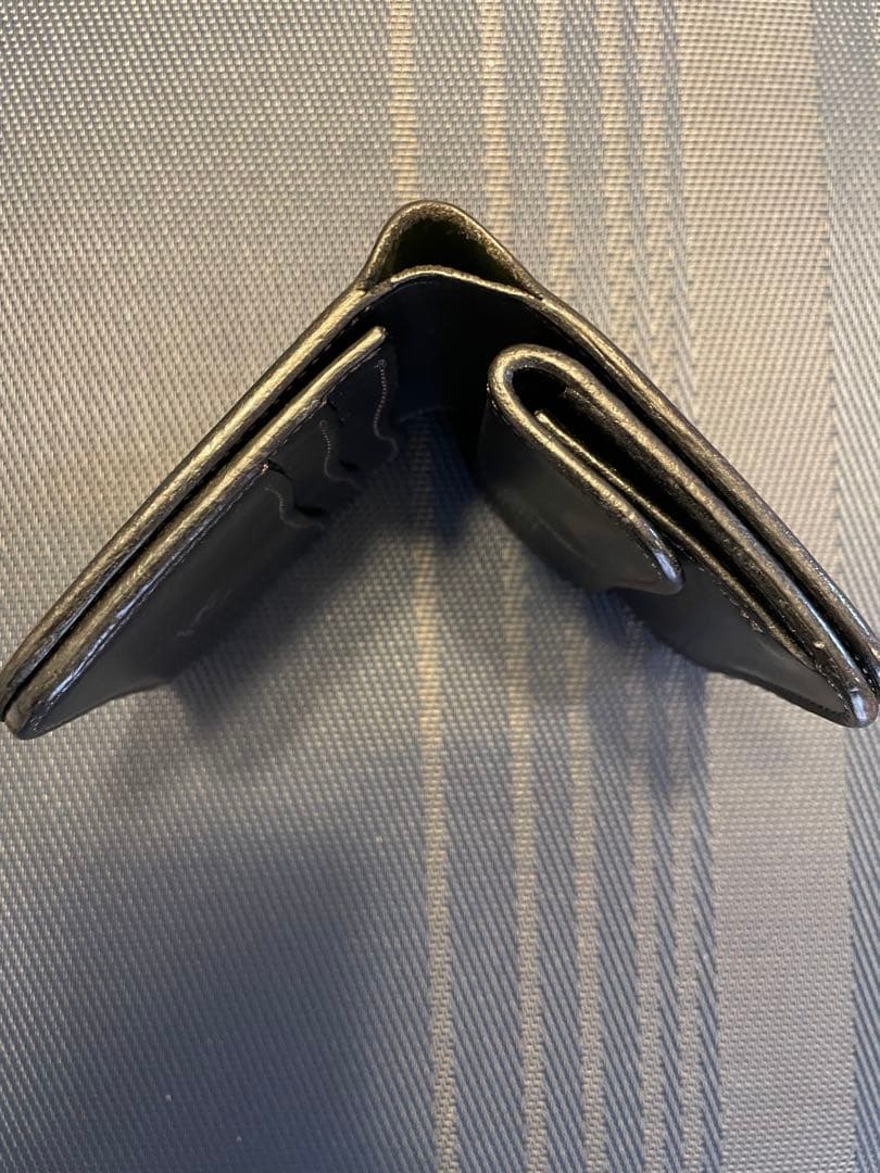 ワイルドスワン　スパンカー1