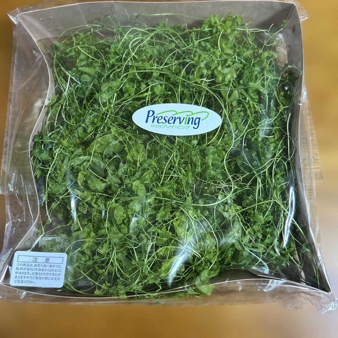 プリザーブドフラワー他36点セット