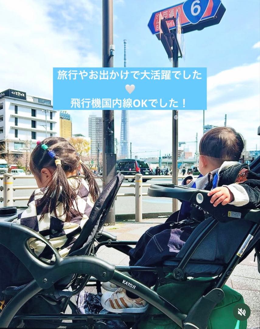 KATOJI 二人でゴーDX グレー