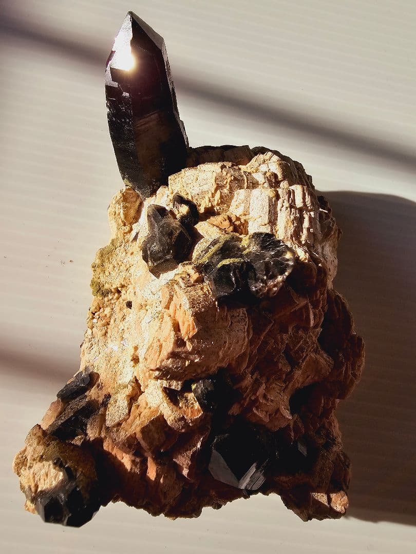 約750gあり★チベット産 モリオン(黒水晶)クラスター