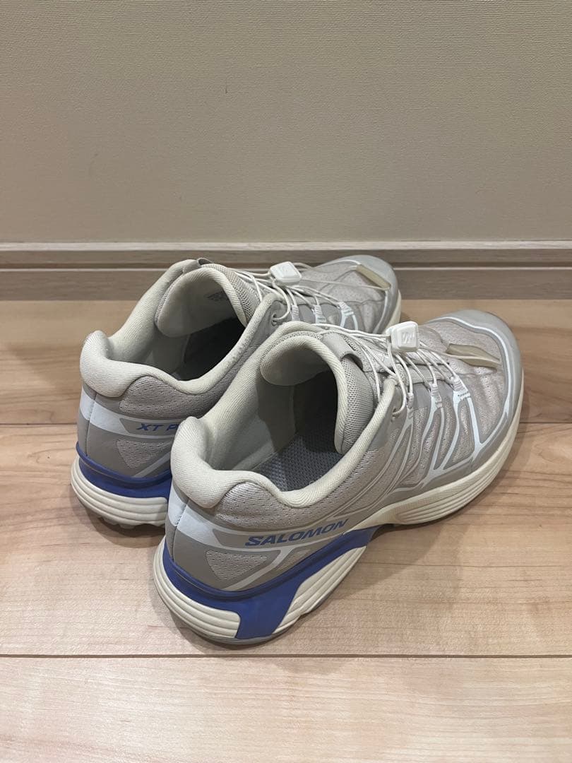 靴 SALOMON XT-PATHWAY2 24cm
