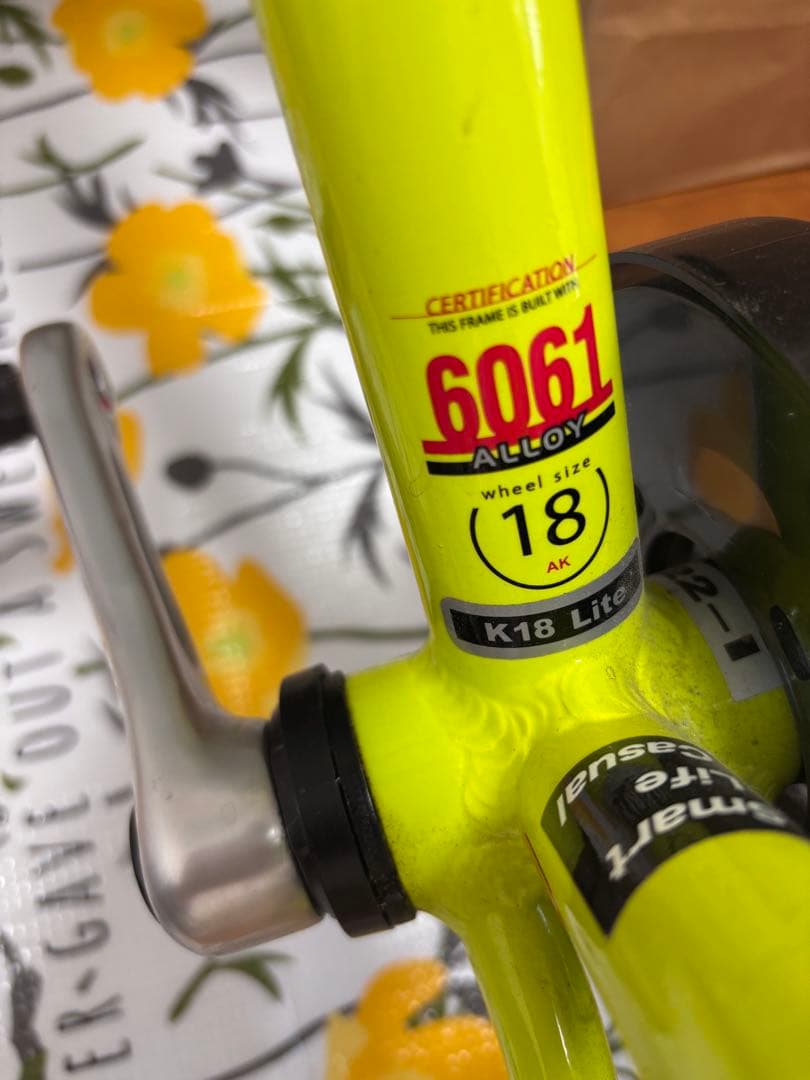 LOUIS GARNEAU 子供用自転車 18インチ ルイガノ