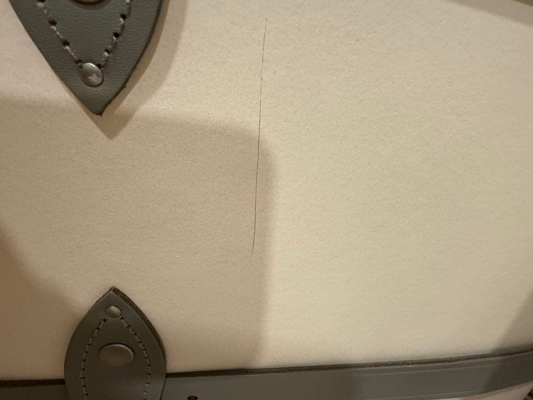 お値下げ中　限定　グローブトロッターサファリ　薄ピンク✖️グレーキャリーケース2輪