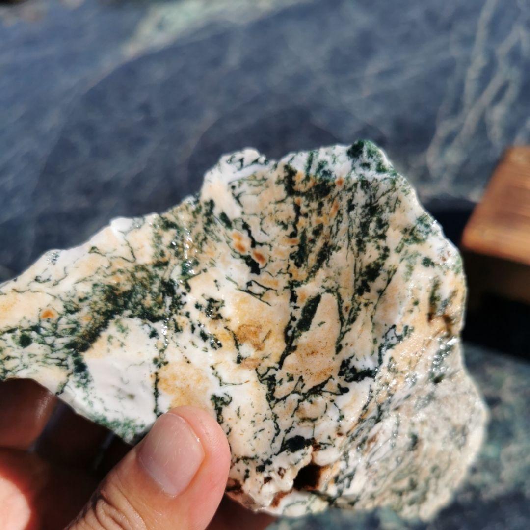 ツリーアゲート　984グラム　鑑賞石　原石　宝石　鉱物　パワーストーン　石