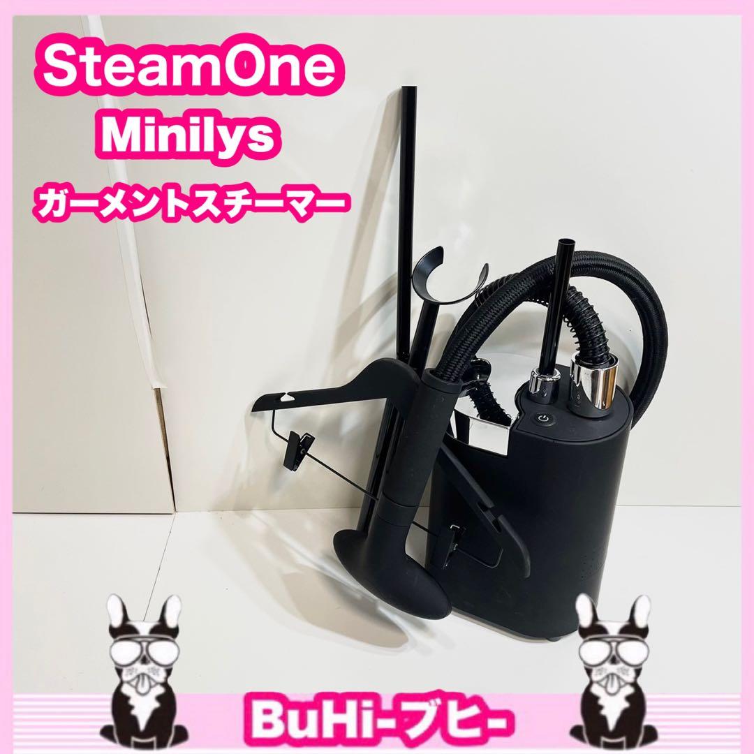SteamOne minilys スチームワン 衣類スチーマー ハンガー