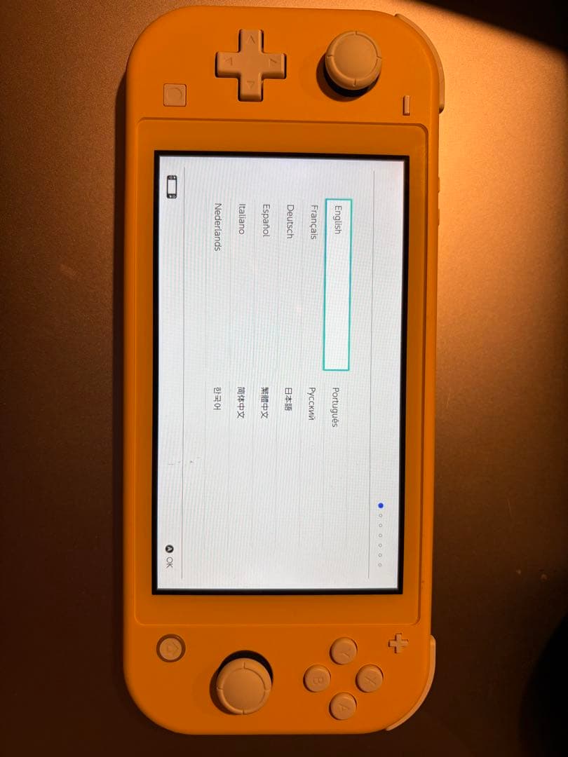 Switch lite 本体＋充電器