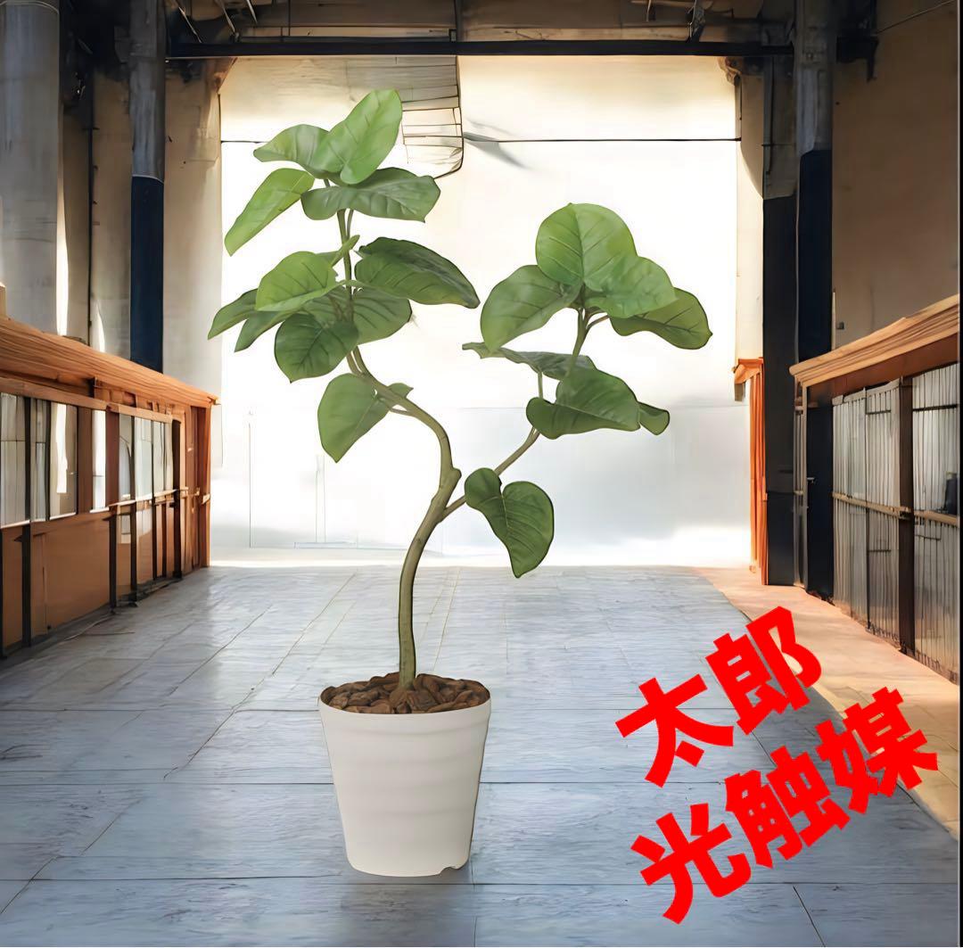 光触媒　人工観葉植物　ウォールグリーン　フェイクグリーン　ウンベラータ1.25