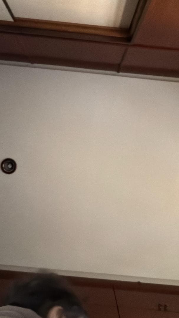 第11世代、Dell Vostro 3500、16GB、256GB [ジャンク]