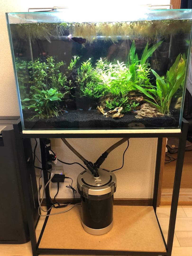 GEX GLASSTERIA MEGA POWER 600 水槽セット